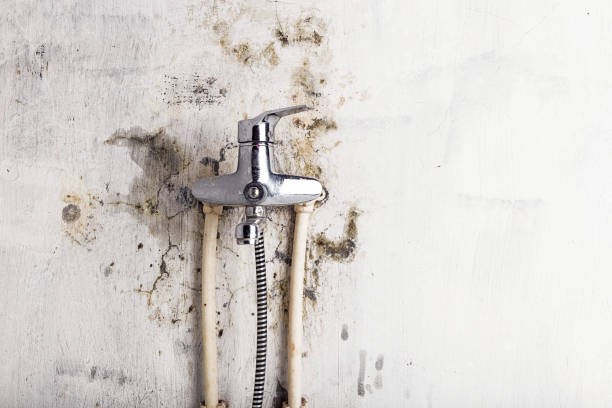 Best Mold Cleaning Services  in Mechanicstown, NY