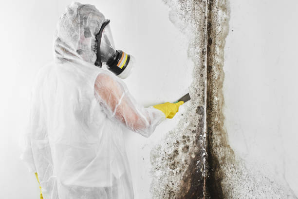Best Mold Testing  in Mechanicstown, NY