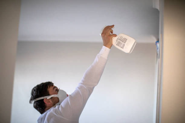 Best Fast Mold Removal  in Mechanicstown, NY