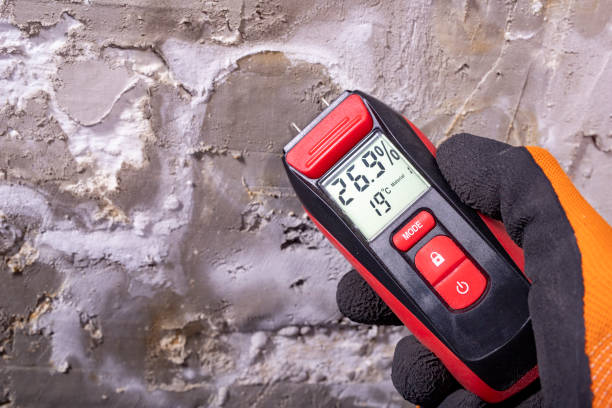 Best Mold Damage Repair  in Mechanicstown, NY