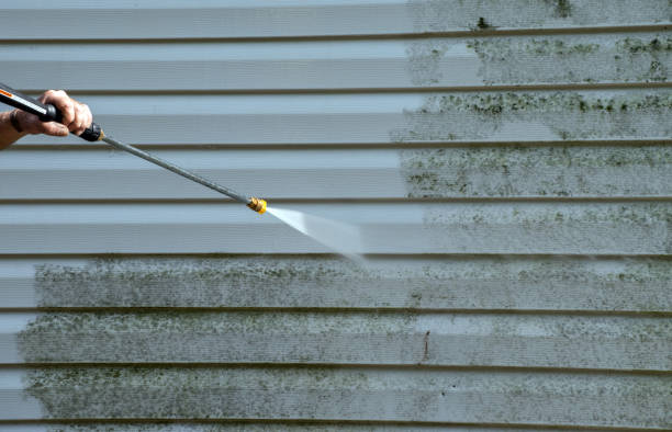 Mold Removal Process in Mechanicstown, NY