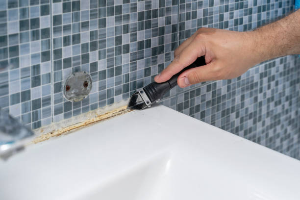 Best Certified Mold Removal  in Mechanicstown, NY