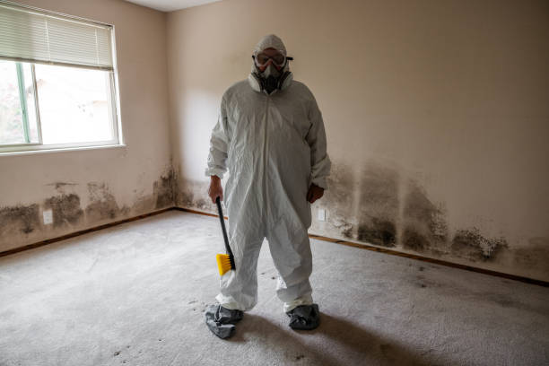 Mold Removal and Inspection in Mechanicstown, NY