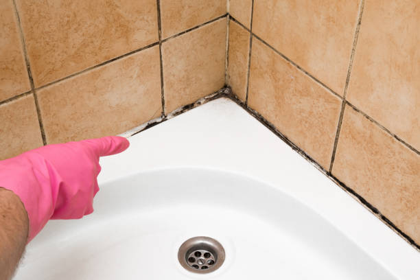Best Mold Testing  in Mechanicstown, NY